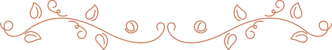 Salt&Fettle Illustration