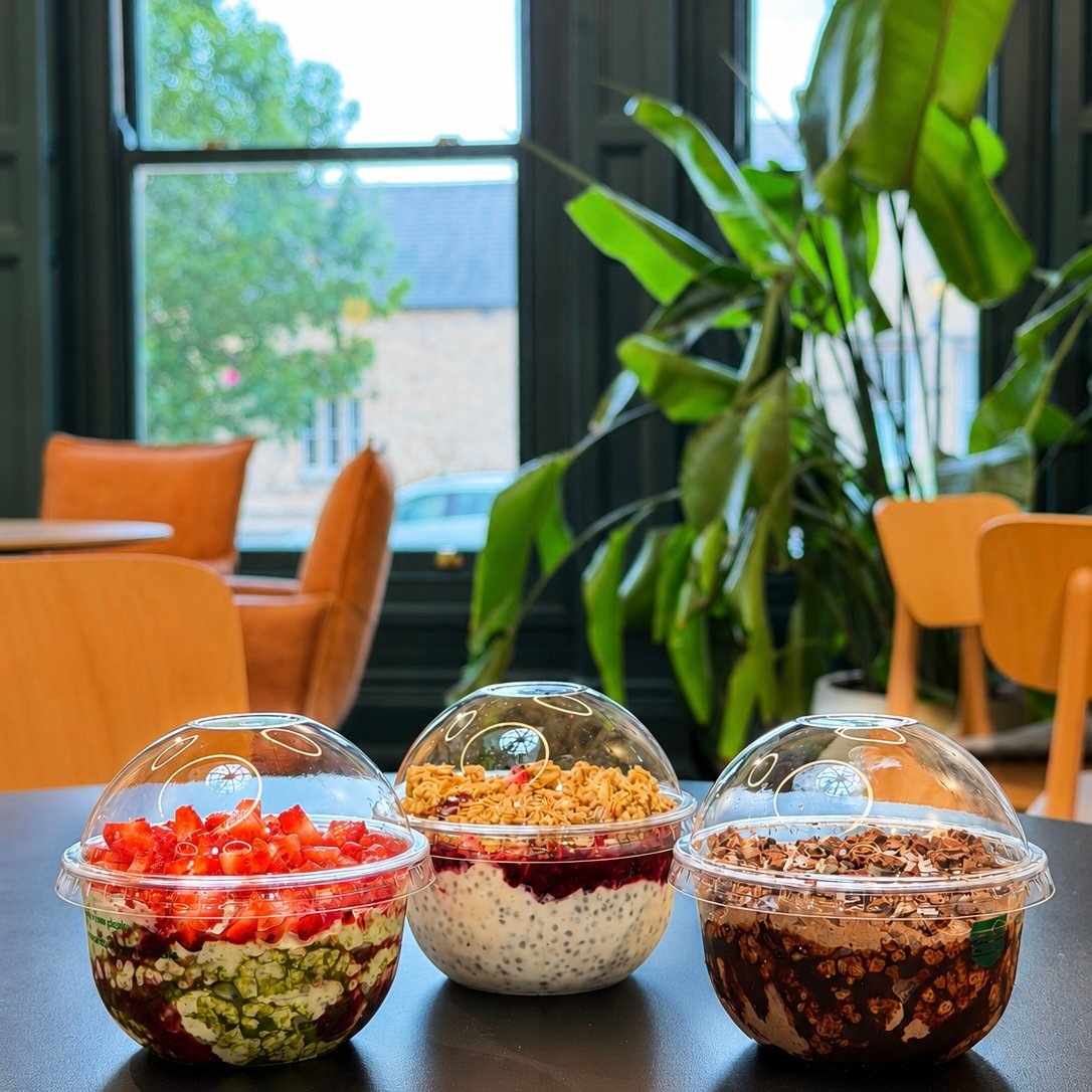 chia pots